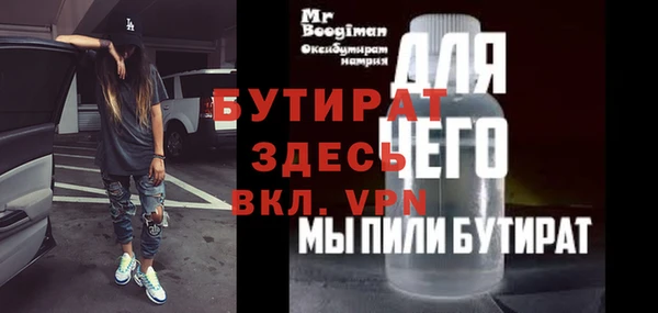 прущие грибы Чегем