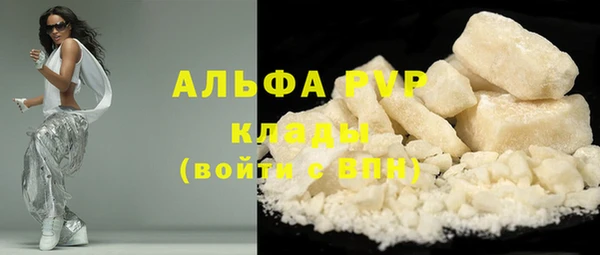 прущие грибы Чегем