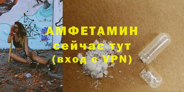 прущие грибы Чегем