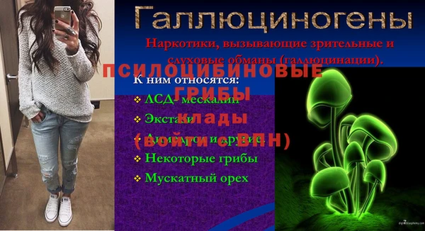 ECSTASY Чердынь