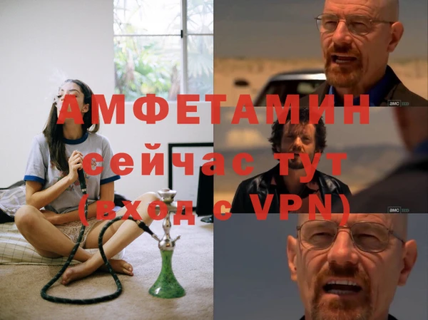прущие грибы Чегем