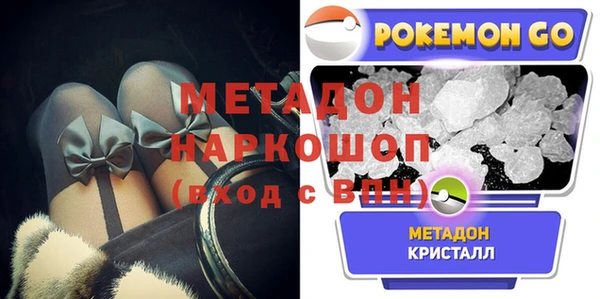 прущие грибы Чегем