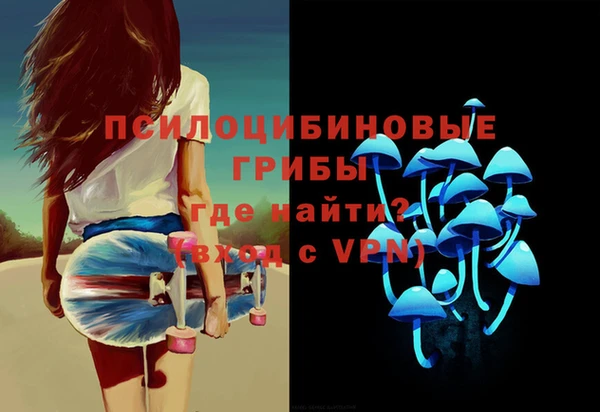 прущие грибы Чегем