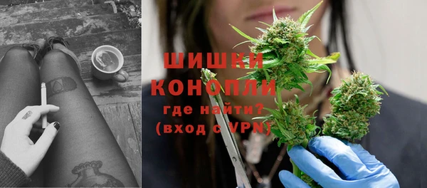 прущие грибы Чегем