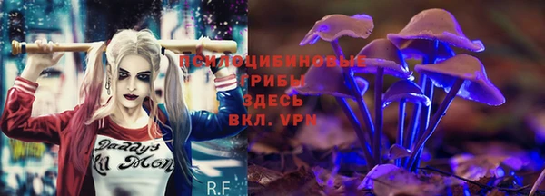 ECSTASY Чердынь