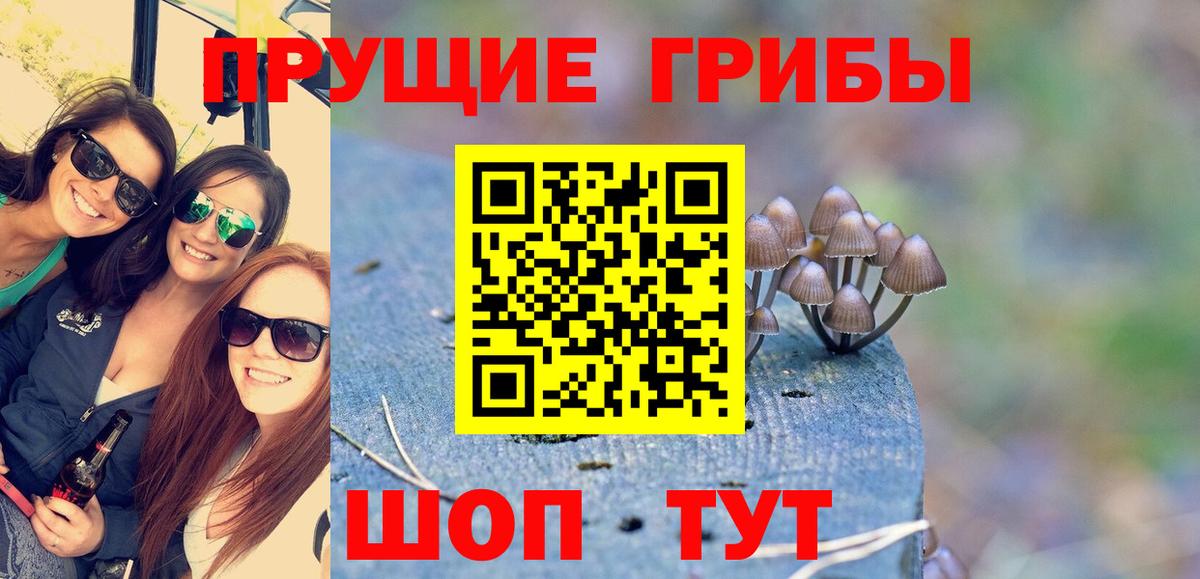 Галлюциногенные грибы GOLDEN TEACHER  наркошоп  Обнинск  Галлюциногенные грибы Psilocybine cubensis 