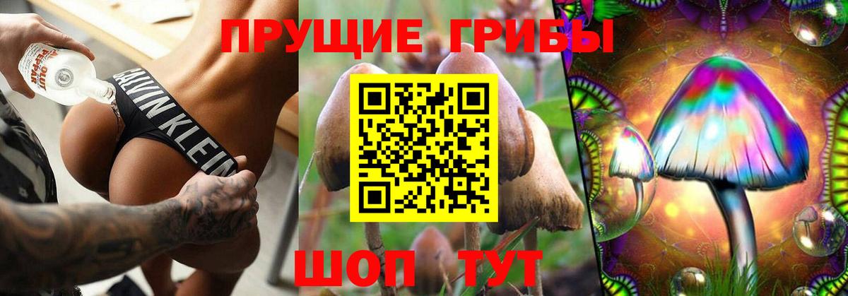 Псилоцибиновые грибы ЛСД  Псилоцибиновые грибы Psilocybine cubensis  Обнинск  Вход с VPN 